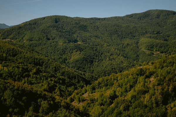 Les inégalités sociales dans le sport : un obstacle à l'égalité des chances
